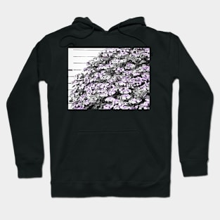 The Pink Hydrangea Hoodie